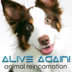 Alive Again with Brent Atwater