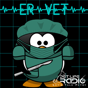 ER Vet with Dr. Justine Lee on Pet Life Radio